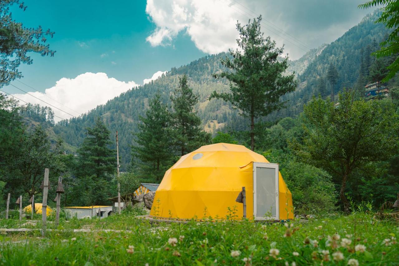Private Geodesic dome,1550856979:JPEG